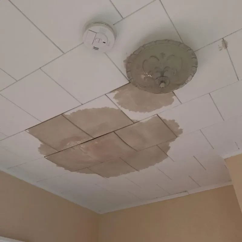 Ceiling Water Damage Repair in Graham County, KS