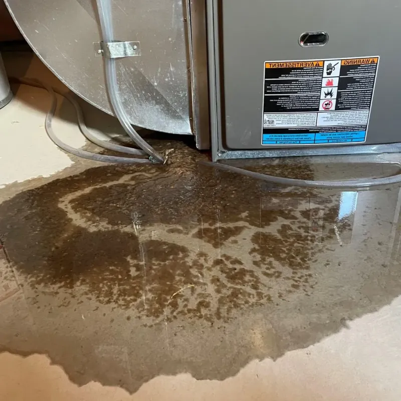 Pipe Burst and Leak Restoration in Graham County, KS